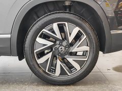 Tesla Tanyue 30 million units selected 300TSI - фото 9