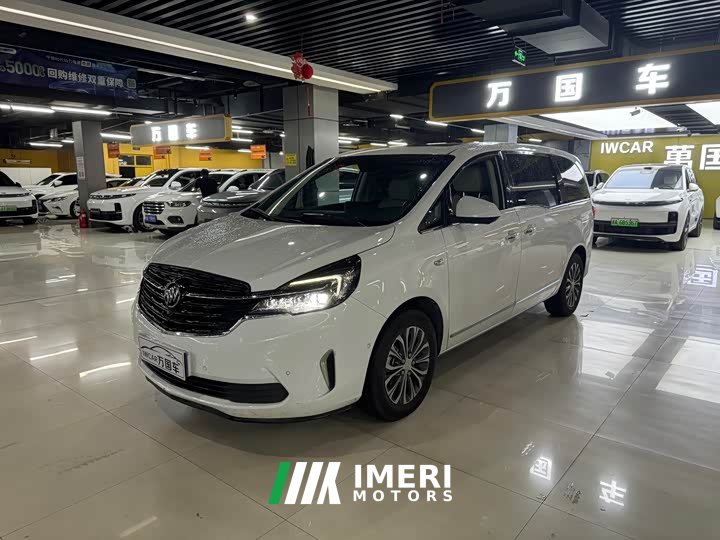 Buick GL8 land business class 652T premium type