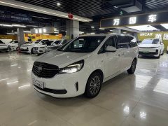 Buick GL8 land business class 652T premium type - фото 1