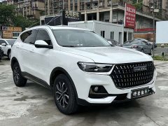 Haval H6 2023 National Fashion Edition 1.5T Automatic Urban Edition - фото 3