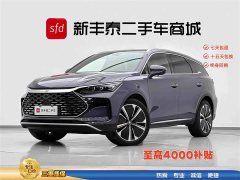 BYD Tangxin Energy 2022 DM-p 215KM four-wheel drive exclusive - фото 1