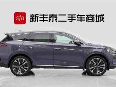 BYD Tangxin Energy 2022 DM-p 215KM four-wheel drive exclusive - фото 3