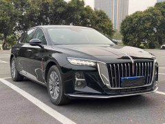 Hongqi H5 2023 1.5T DCT Zhilian Qiyue Edition - фото 3