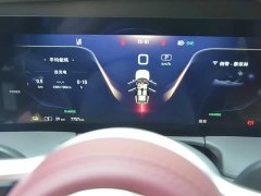 Hongqi E-HS9 460km flagship version six seats - фото 12