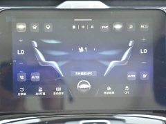 Hongqi E-HS9 460km flagship version six seats - фото 8