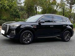 Hongqi HS5 2.0T Qixiang Pro version - фото 3