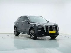 Hongqi HS5 2.0T four-wheel drive Qixiang Pro version - фото 17