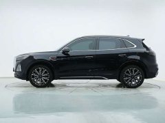 Hongqi HS5 2.0T four-wheel drive Qixiang Pro version - фото 4