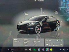 Tesla Model 3 Performance high-performance all-wheel drive version - фото 13
