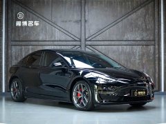 Tesla Model 3 Performance high-performance all-wheel drive version - фото 15