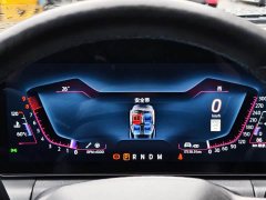 BMW Mustang 5.0L V8 Dark Horse - фото 10