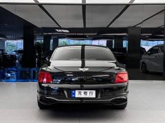 Geely Flying Spur 2021 4.0T V8 Standard Edition - фото 5