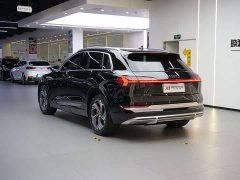 Audi e-tron 2021 50 quattro premium - фото 5