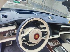 Hongqi Golden Sunflower Guoya 3.0T V6 version - фото 2