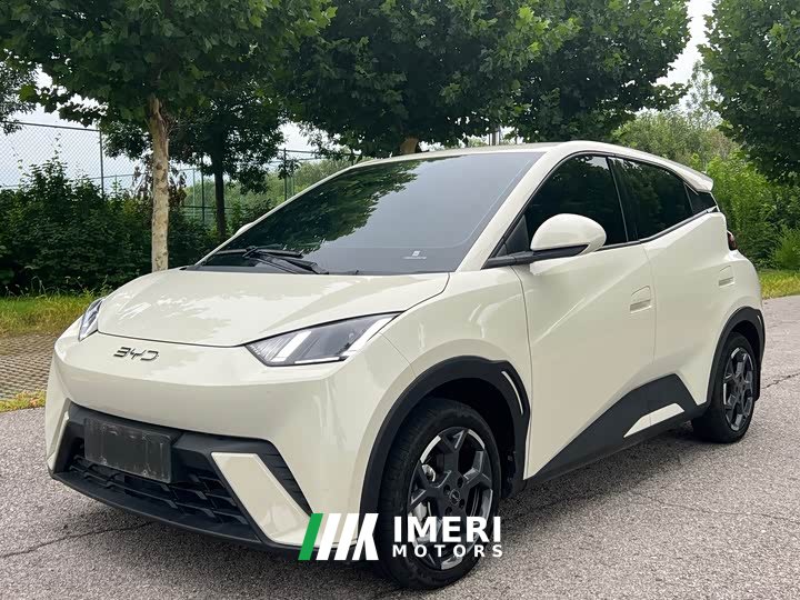 BYD Seagull Honor Edition 405km Flying Edition - автомобиль из Китая