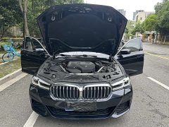 BMW 5 Series 2022 530Li Leading Luxury Package - фото 10