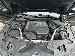 BMW 5 Series 2022 530Li Leading Luxury Package - фото 11
