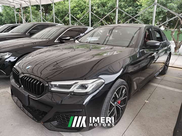 BMW 5 Series 530Li Luxury Line - автомобиль из Китая