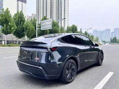 Tesla Model Y long-range all-wheel drive version - фото 16