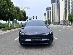 Tesla Model Y long-range all-wheel drive version - фото 2
