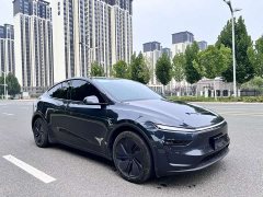 Tesla Model Y long-range all-wheel drive version - фото 3