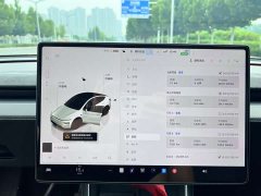Tesla Model Y long-range all-wheel drive version - фото 7