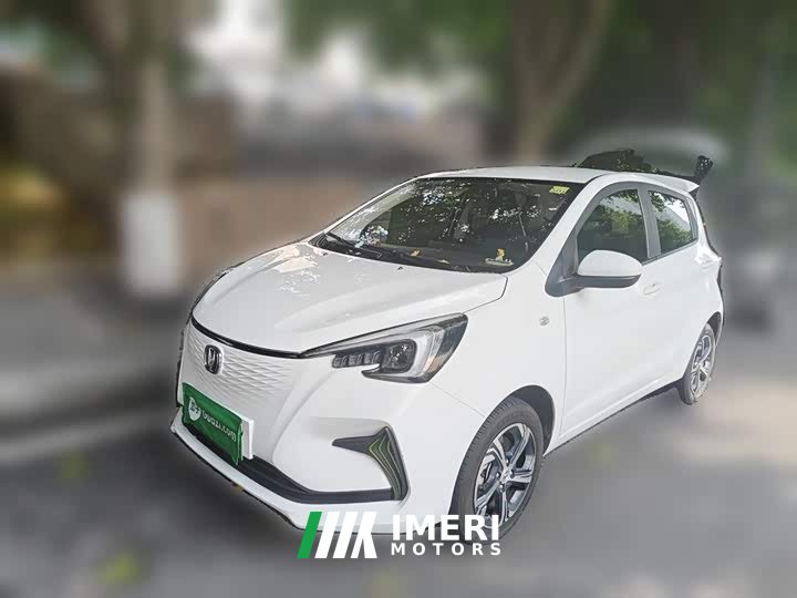 Changan Benben E-Star 2020 Xinyue Edition Lithium Iron Phosphate (31.18kWh) - автомобиль из Китая