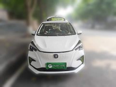 Changan Benben E-Star 2020 Xinyue Edition Lithium Iron Phosphate (31.18kWh) - фото 2