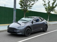 Tesla Model Y long-range all-wheel drive version - фото 1