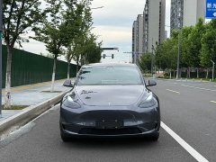 Tesla Model Y long-range all-wheel drive version - фото 2