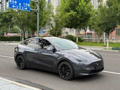 Tesla Model Y long-range all-wheel drive version - фото 3