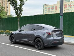 Tesla Model Y long-range all-wheel drive version - фото 6