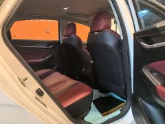 Ford EADO PLUS Blue Whale NE 1.4T GDI DCT Premium Type - фото 7