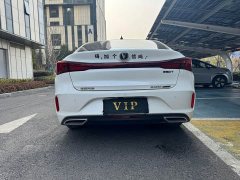 Ford EADO Enjoy Edition PLUS Blue Whale NE 1.4T GDI DCT Premium Edition - фото 10