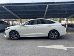 Ford EADO Enjoy Edition PLUS Blue Whale NE 1.4T GDI DCT Premium Edition - фото 8