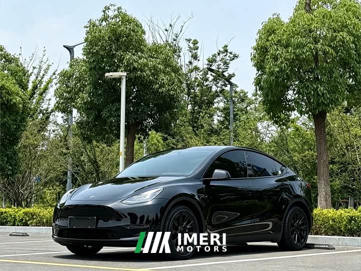 Tesla Model Y standard range rear-wheel drive version - автомобиль из Китая