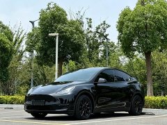 Tesla Model Y standard range rear-wheel drive version - фото 1