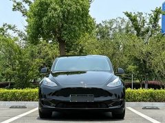 Tesla Model Y standard range rear-wheel drive version - фото 2