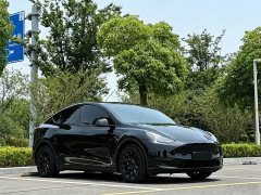 Tesla Model Y standard range rear-wheel drive version - фото 3