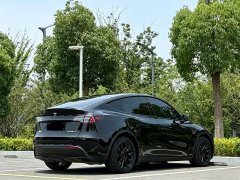 Tesla Model Y standard range rear-wheel drive version - фото 6
