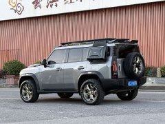 Jetour Jietu Traveler 2023 2.0T four-wheel drive conquers - фото 4