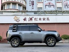 Jetour Jietu Traveler 2023 2.0T four-wheel drive conquers - фото 6