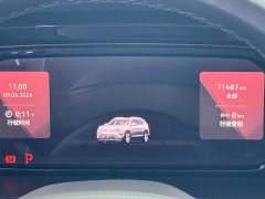 Volkswagen Teramont 380TSI 4WD Prestige Luxury Edition - фото 13