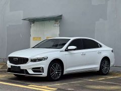 Tesla Xingrui 2.0TD Premium - фото 1