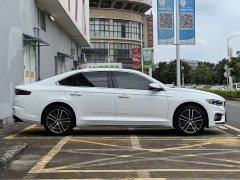 Tesla Xingrui 2.0TD Premium - фото 12