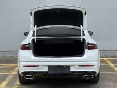 Tesla Xingrui 2.0TD Premium - фото 13