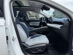 Tesla Xingrui 2.0TD Premium - фото 18