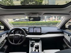 Tesla Xingrui 2.0TD Premium - фото 20