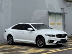 Tesla Xingrui 2.0TD Premium - фото 3
