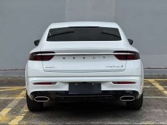 Tesla Xingrui 2.0TD Premium - фото 5